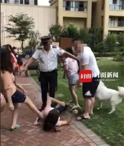 网友爆料遛狗视频大全下载,萌宠瞬间，欢乐无限